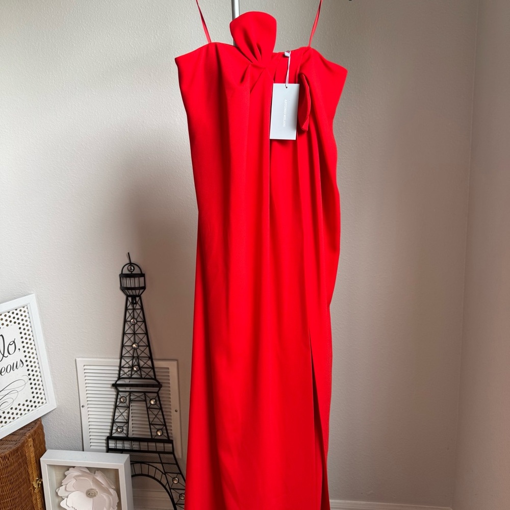 NWT Antonio Melani Elizabeth Damrich Radziwill Full Length Strapless Midi Dress - Picture 11 of 11